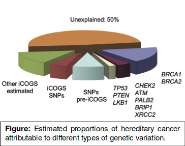 genetic variation in breast cancer